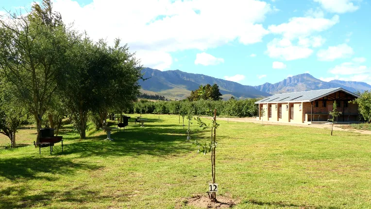 Champagne Camp & Cottage Image