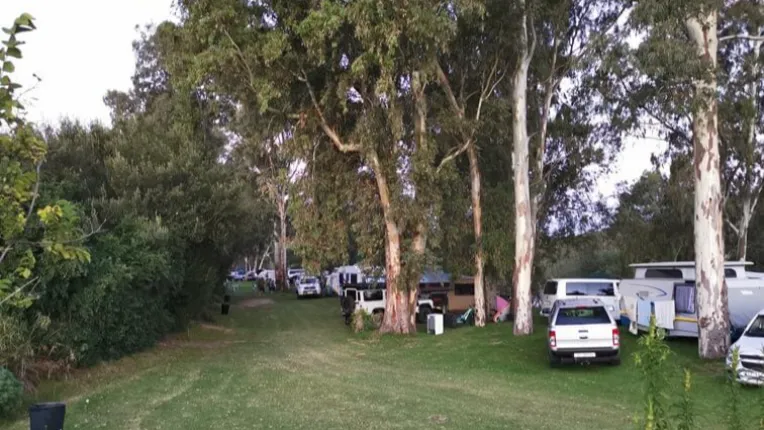 Riggton River Farm Campsite Image