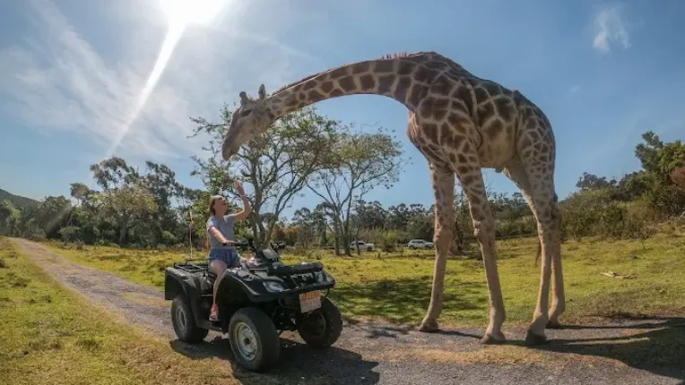 Areena Riverside Resort